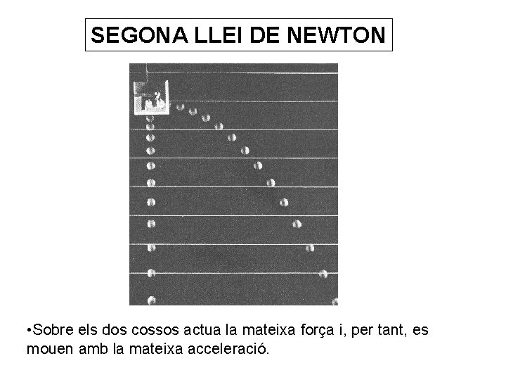 SEGONA LLEI DE NEWTON • Sobre els dos cossos actua la mateixa força i,