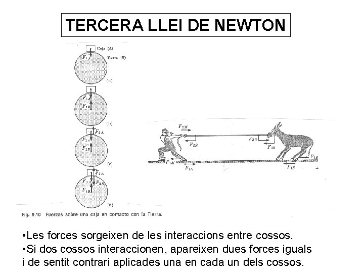 TERCERA LLEI DE NEWTON • Les forces sorgeixen de les interaccions entre cossos. •