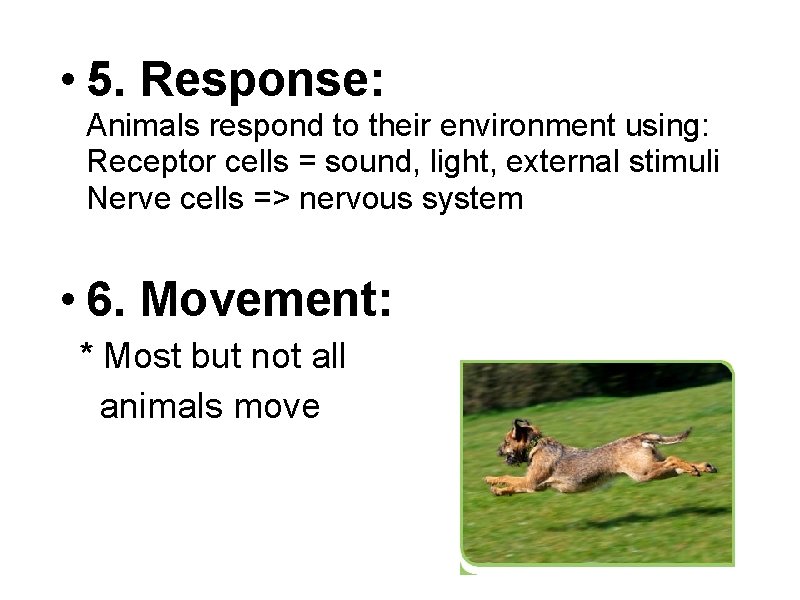  • 5. Response: Animals respond to their environment using: Receptor cells = sound,