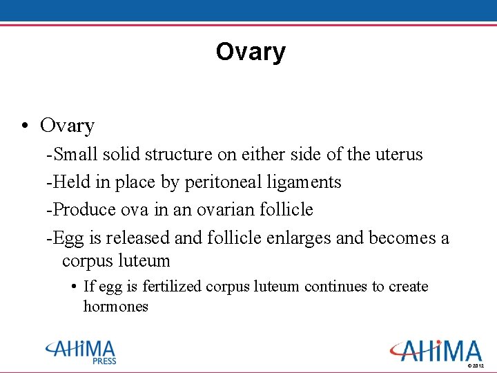 Ovary • Ovary -Small solid structure on either side of the uterus -Held in