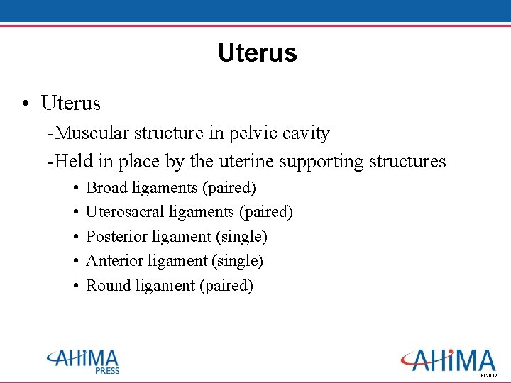 Uterus • Uterus -Muscular structure in pelvic cavity -Held in place by the uterine