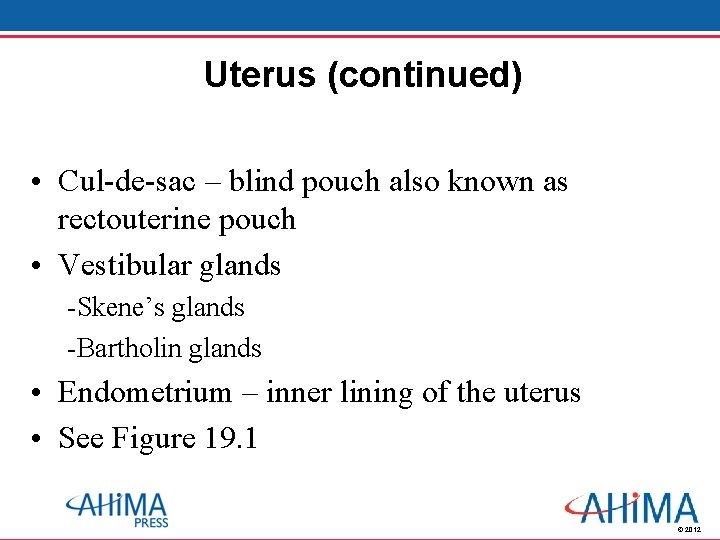 Uterus (continued) • Cul-de-sac – blind pouch also known as rectouterine pouch • Vestibular