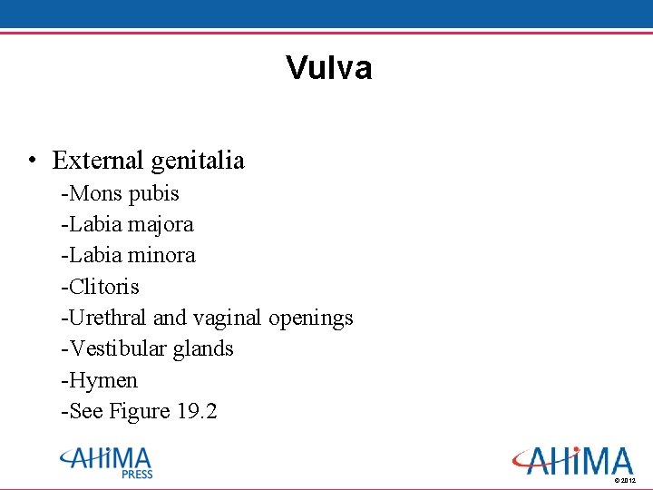 Vulva • External genitalia -Mons pubis -Labia majora -Labia minora -Clitoris -Urethral and vaginal