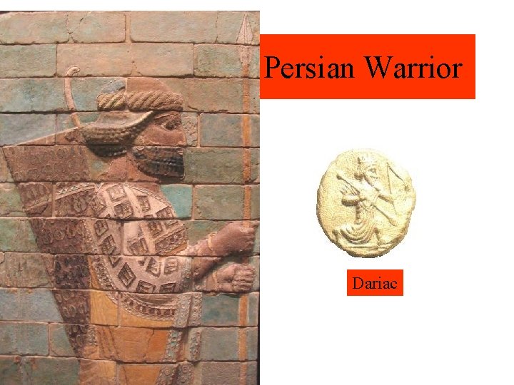 Persian Warrior Dariac 