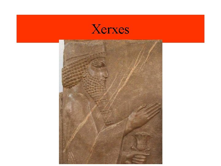 Xerxes 