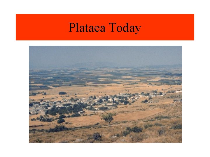 Plataea Today 