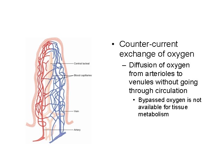  • Counter-current exchange of oxygen – Diffusion of oxygen from arterioles to venules