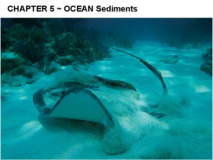 CHAPTER 5 ~ OCEAN Sediments 