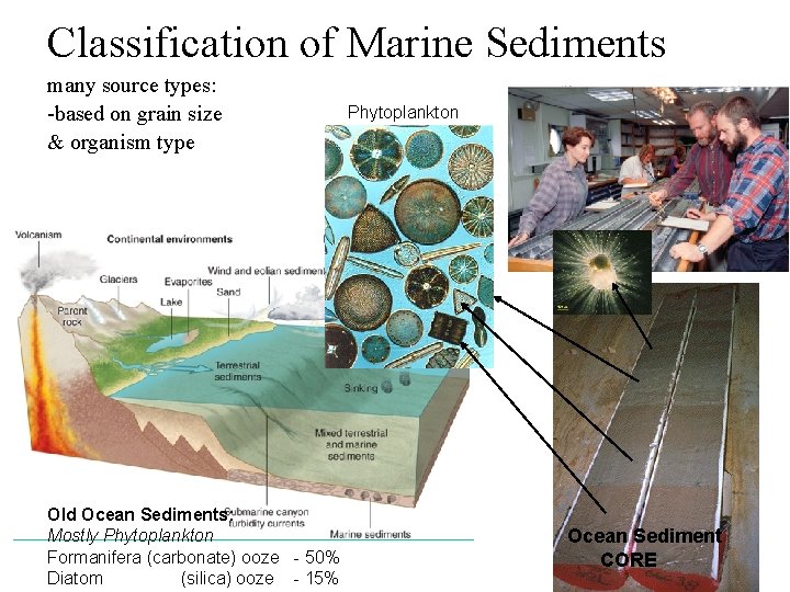 Classification of Marine Sediments many source types: -based on grain size & organism type