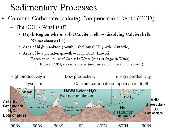 Sedimentary Processes • Calcium-Carbonate (calcite) Compensation Depth (CCD) – The CCD - What is