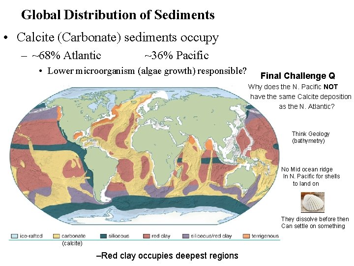 Global Distribution of Sediments • Calcite (Carbonate) sediments occupy – ~68% Atlantic ~36% Pacific