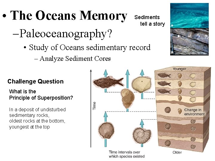  • The Oceans Memory – Paleoceanography? Sediments tell a story • Study of