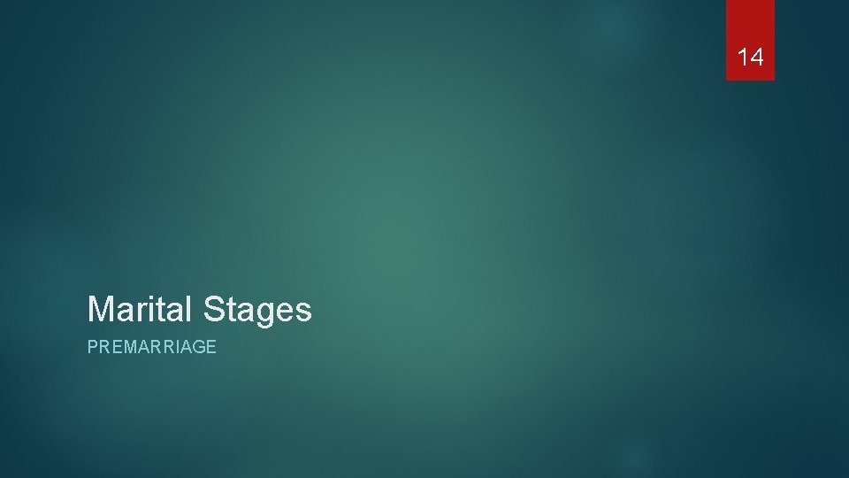 14 Marital Stages PREMARRIAGE 