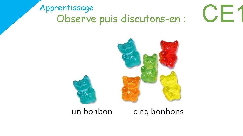 Apprentissage Observe puis discutons-en : CE 1 