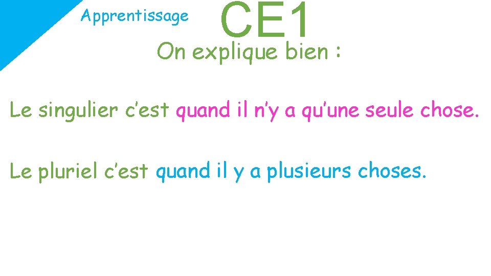 CE 1 On explique bien : Apprentissage Le singulier c’est quand il n’y a