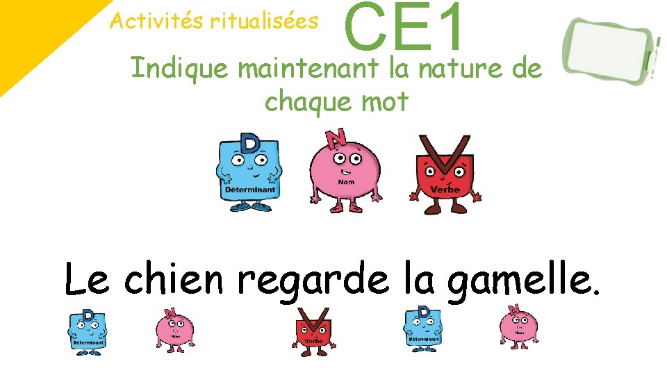CE 1 Indique maintenant la nature de Activités ritualisées chaque mot Le chien regarde CE 1 Indique maintenant la nature de Activités ritualisées chaque mot Le chien regarde