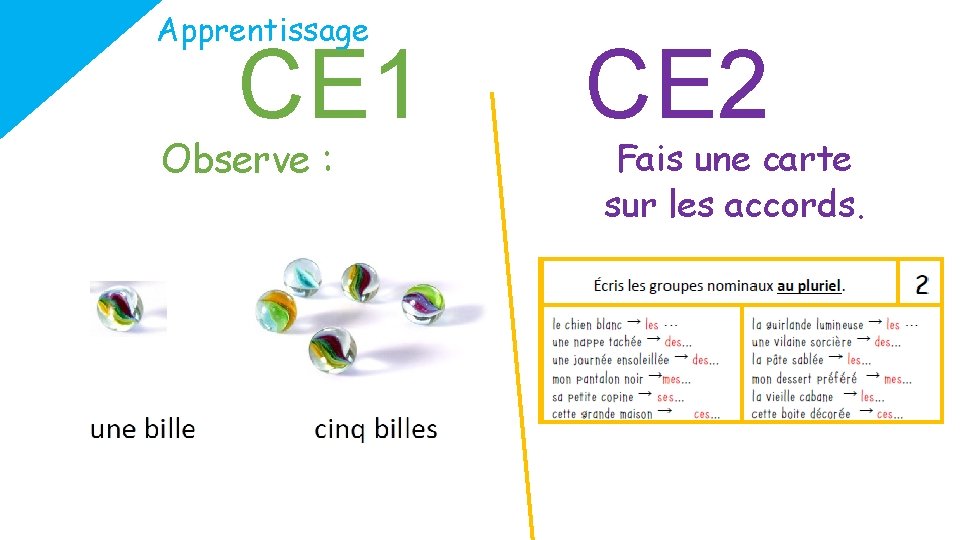 Apprentissage CE 1 Observe : CE 2 Fais une carte sur les accords. 