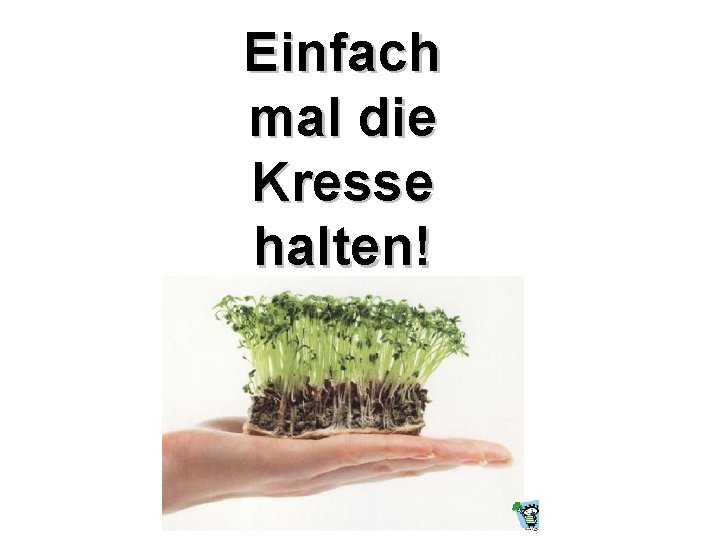 Einfach mal die Kresse halten! 