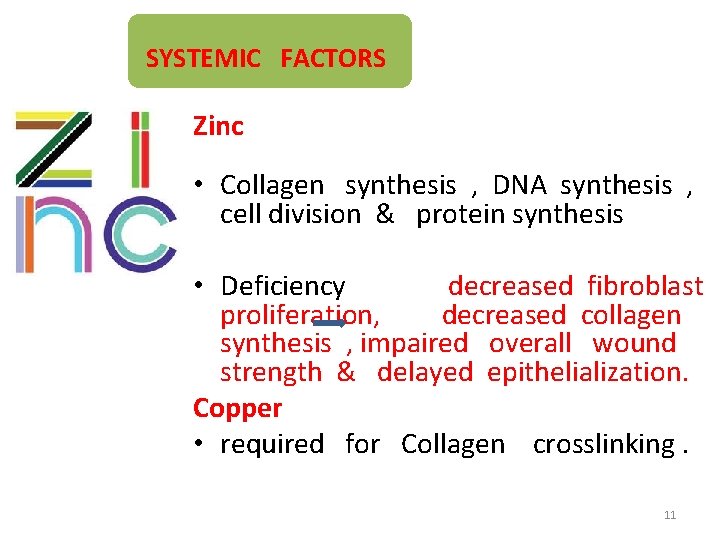 SYSTEMIC FACTORS Zinc • Collagen synthesis , DNA synthesis , cell division & protein
