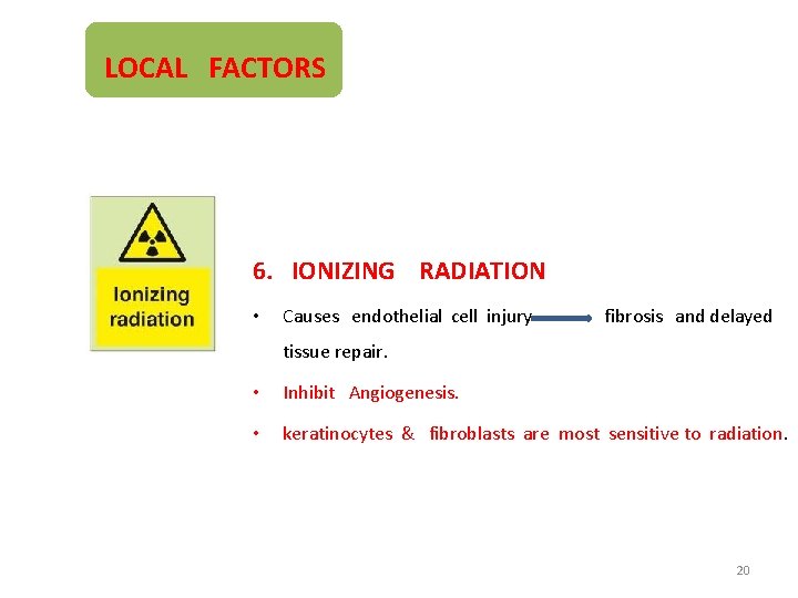 LOCAL FACTORS 6. IONIZING RADIATION • Causes endothelial cell injury fibrosis and delayed tissue