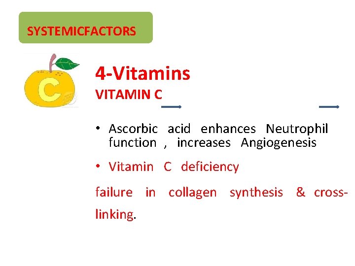 SYSTEMICFACTORS 4 -Vitamins VITAMIN C • Ascorbic acid enhances Neutrophil function , increases Angiogenesis