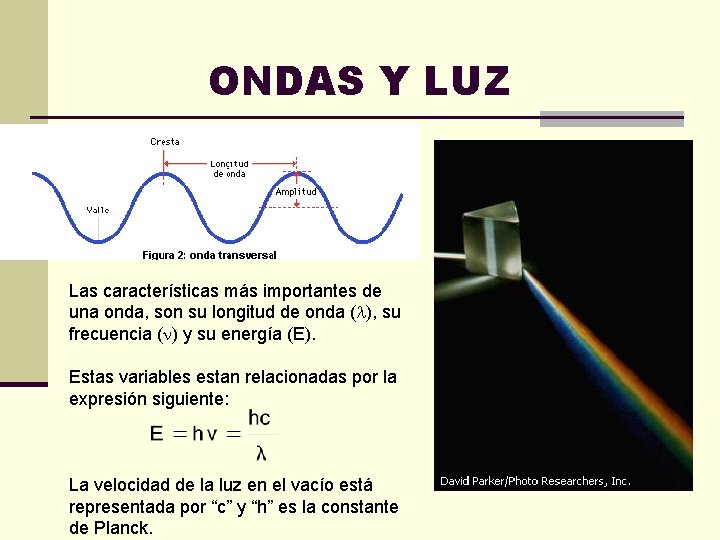 ONDAS Y LUZ Las características más importantes de una onda, son su longitud de