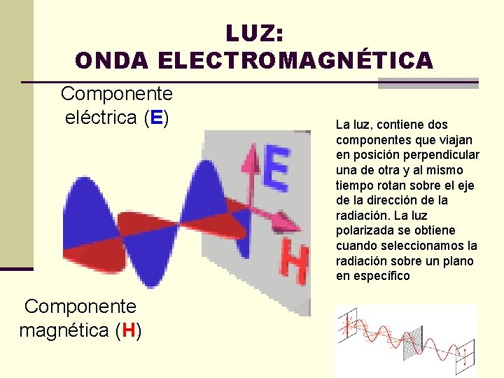 LUZ: ONDA ELECTROMAGNÉTICA Componente eléctrica (E) Componente magnética (H) La luz, contiene dos componentes
