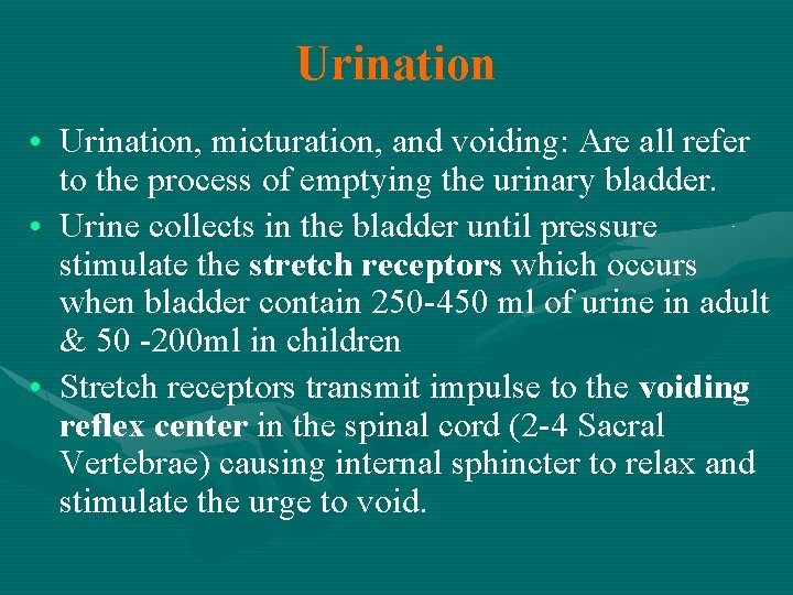 Urination • Urination, micturation, and voiding: Are all refer to the process of emptying