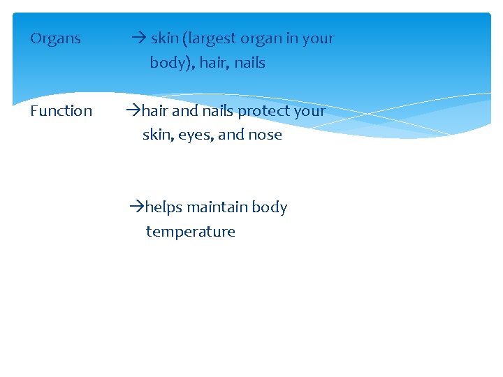 Organs skin (largest organ in your body), hair, nails Function hair and nails protect