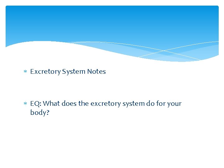  Excretory System Notes EQ: What does the excretory system do for your body?