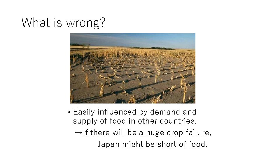 What is wrong? • Easily influenced by demand supply of food in other countries.