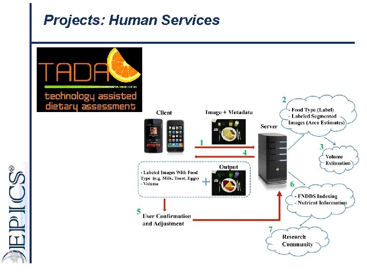 Projects: Human Services 