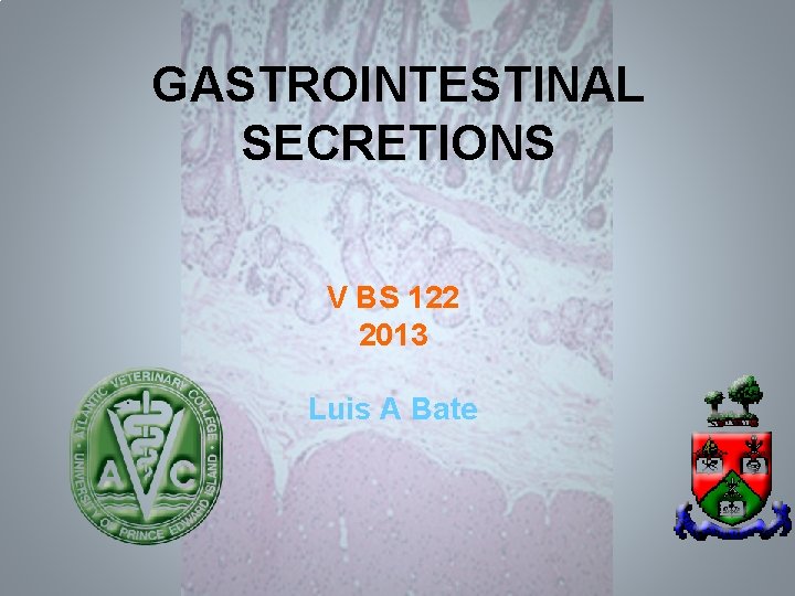 GASTROINTESTINAL SECRETIONS V BS 122 2013 Luis A Bate 