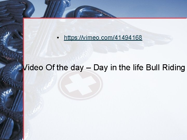  • https: //vimeo. com/41494168 Video Of the day – Day in the life