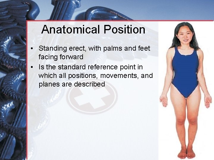 Anatomical Position • Standing erect, with palms and feet facing forward • Is the