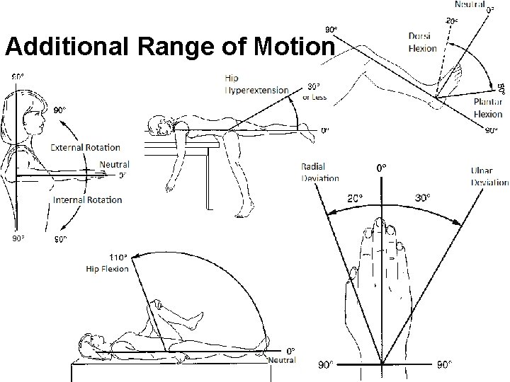 Additional Range of Motion 