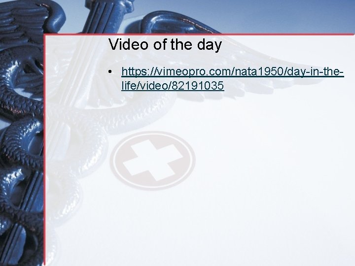 Video of the day • https: //vimeopro. com/nata 1950/day-in-thelife/video/82191035 