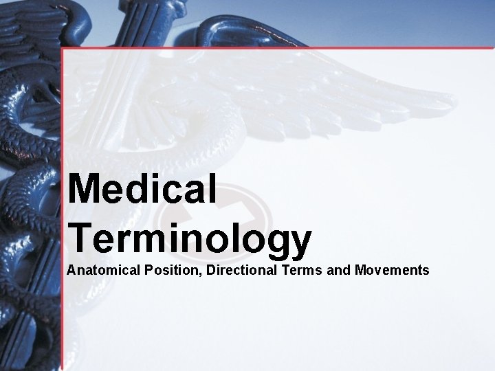 Medical Terminology Anatomical Position, Directional Terms and Movements 