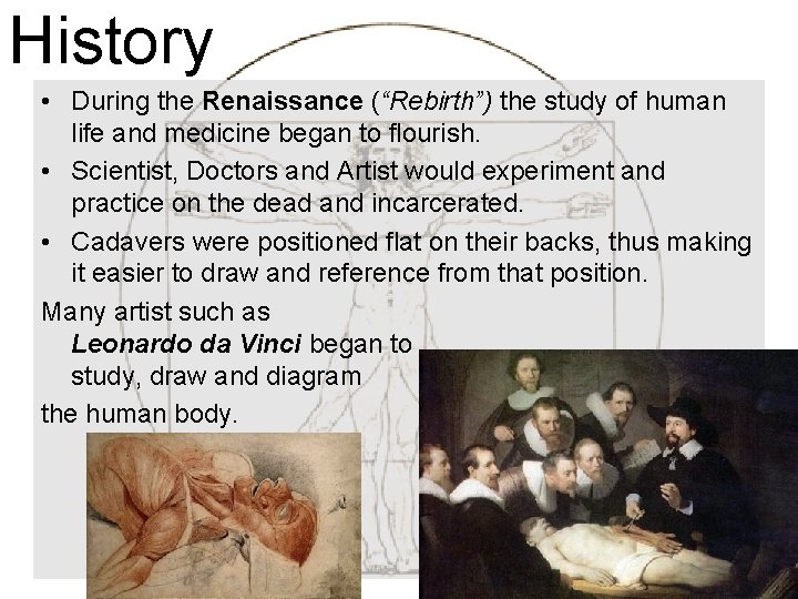 History • During the Renaissance (“Rebirth”) the study of human life and medicine began