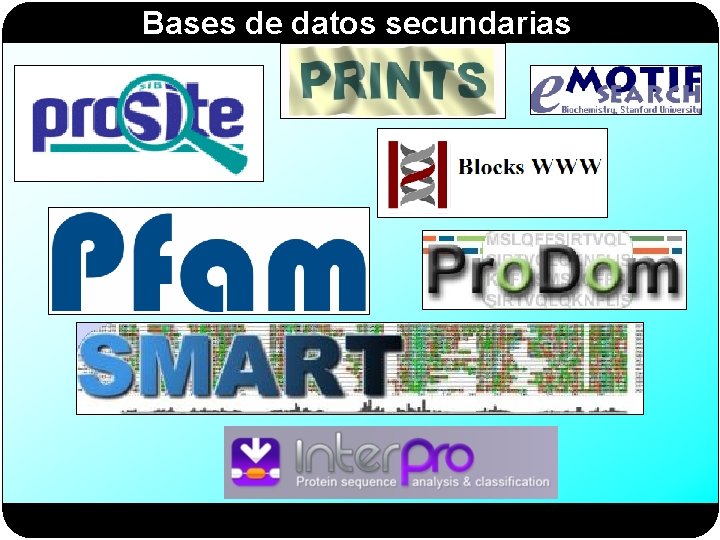 Bases de datos secundarias 