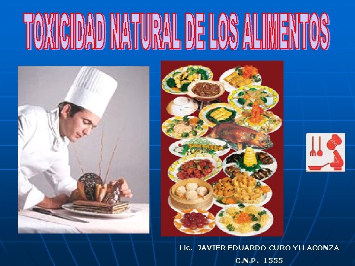 Lic. JAVIER EDUARDO CURO YLLACONZA C. N. P. 1555 