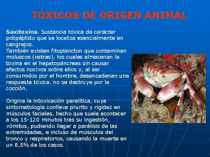 TÓXICOS DE ORIGEN ANIMAL Saxitoxina. Sustancia tóxica de carácter polipéptido que se localiza esencialmente