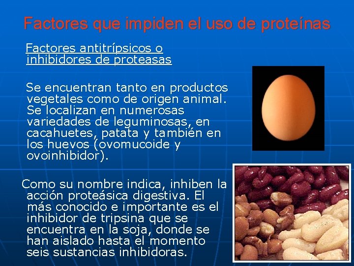 Factores que impiden el uso de proteínas Factores antitrípsicos o inhibidores de proteasas Se