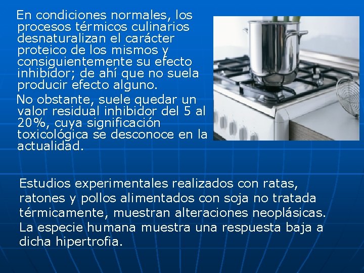 En condiciones normales, los procesos térmicos culinarios desnaturalizan el carácter proteico de los mismos