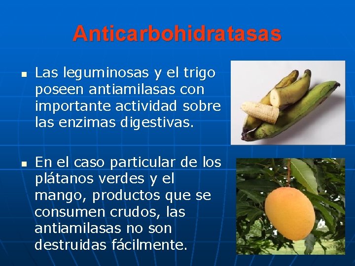 Anticarbohidratasas n n Las leguminosas y el trigo poseen antiamilasas con importante actividad sobre
