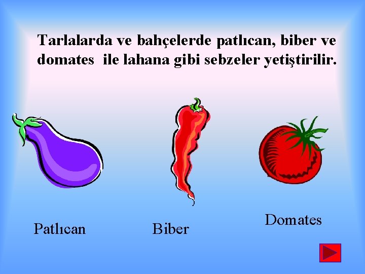 Tarlalarda ve bahçelerde patlıcan, biber ve domates ile lahana gibi sebzeler yetiştirilir. Patlıcan Biber