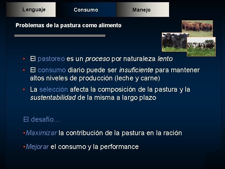 Lenguaje Consumo Manejo Problemas de la pastura como alimento • El pastoreo es un