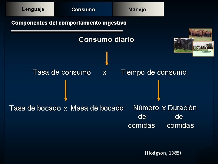 Lenguaje Consumo Manejo Componentes del comportamiento ingestivo Consumo diario Tasa de consumo x Tiempo