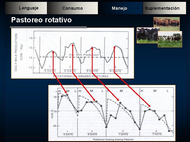 Lenguaje Consumo Pastoreo rotativo Manejo Suplementación 