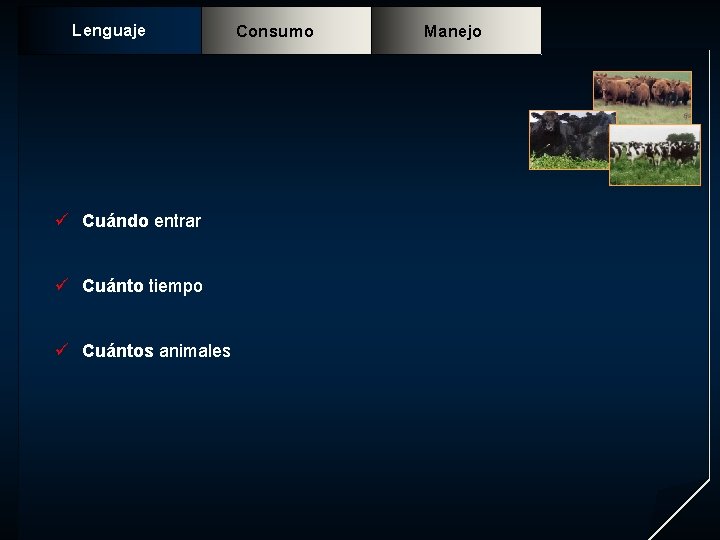 Lenguaje ü Cuándo entrar ü Cuánto tiempo ü Cuántos animales Consumo Manejo 